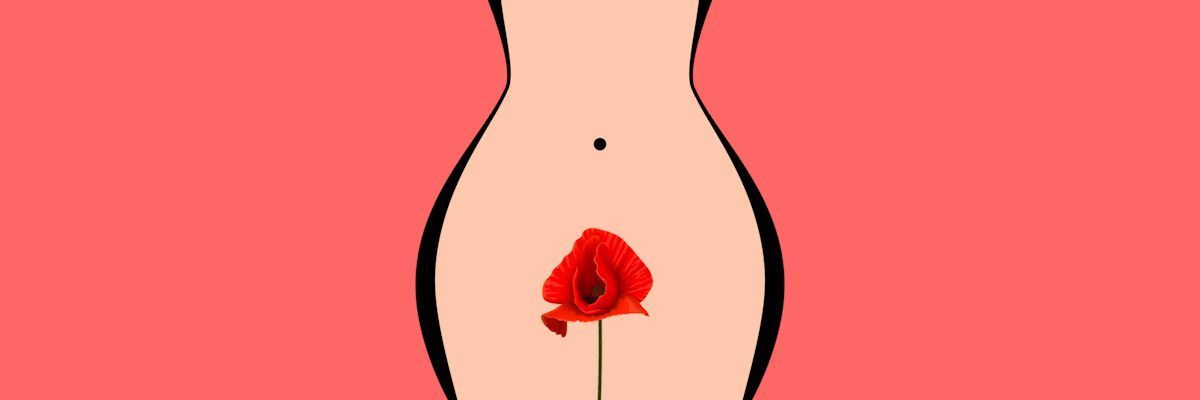 Jak wygląda cipka? Odkryj tajemnice kobiecej anatomii zdjęcie