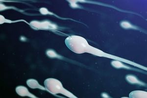 Sperma – jak poprawić jej smak i jakość? Sprawdzone sposoby zdjęcie