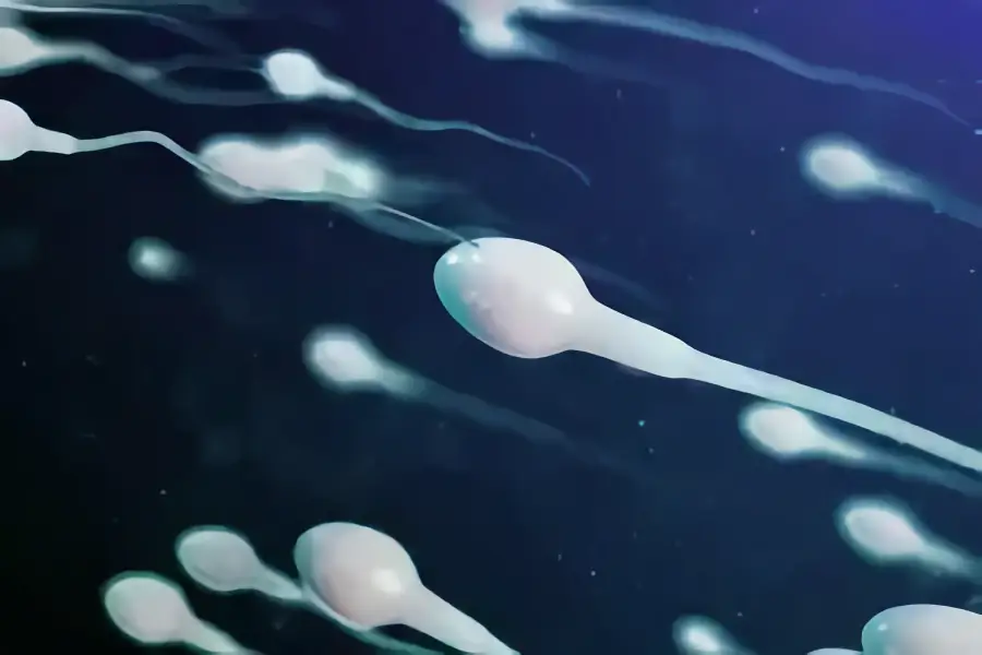 Sperma – jak poprawić jej smak i jakość? Sprawdzone sposoby Sperma – jak poprawić jej smak i jakość? Sprawdzone sposoby