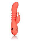 Wibrator królik CalExotics Orange County Cutie, 21 cm (pomarańczowy) Wibrator królik CalExotics Orange County Cutie, 21 cm (pomarańczowy)